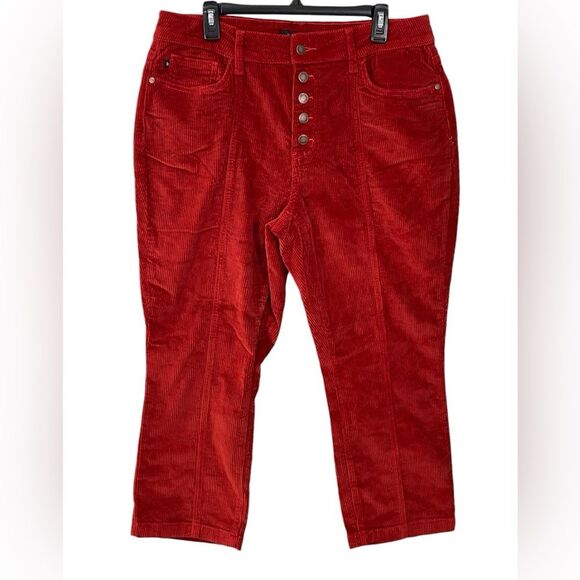 Judy Blue Button Fly Burnt Orange-ish Red Corduroy Ankle Straight Leg Pants 16W - Picture 1 of 6